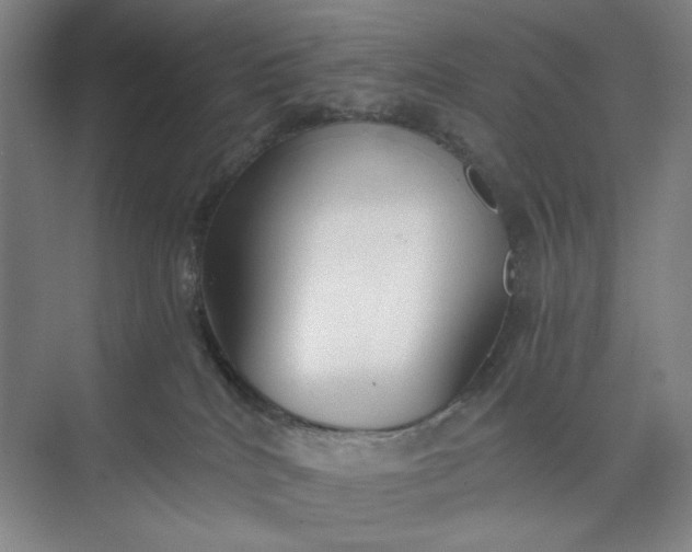 X0000071330040200607071644