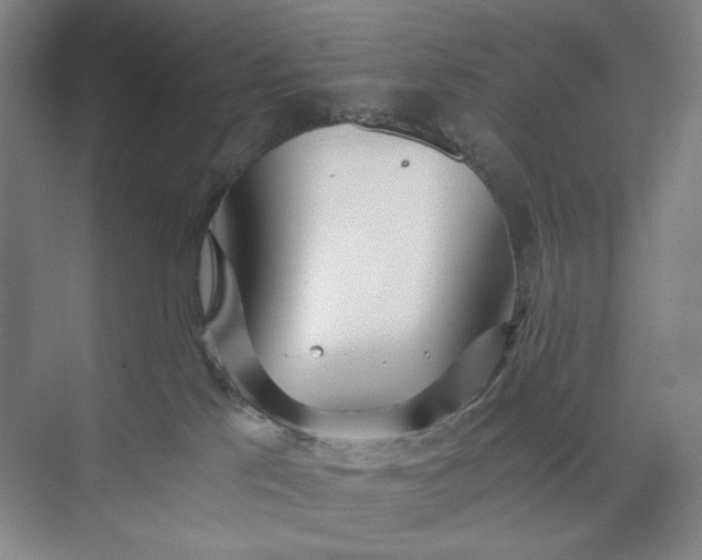 X0000071330041200607071644