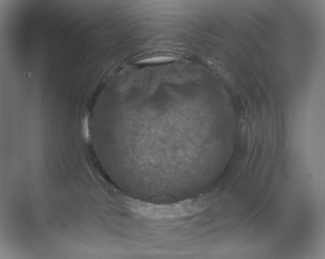 X0000071330042200607071643