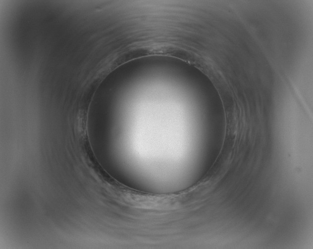 X0000071330044200607071643