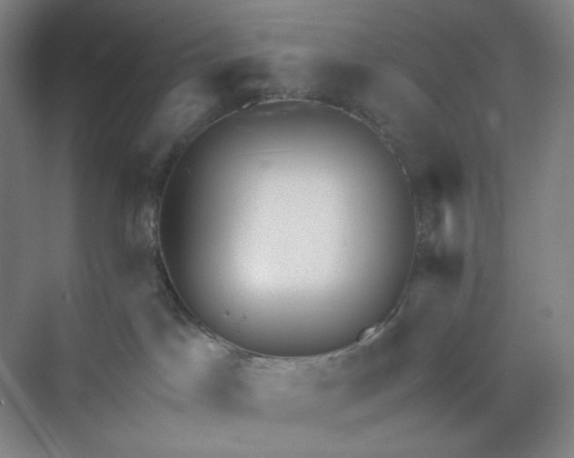 X0000071330045200607071643