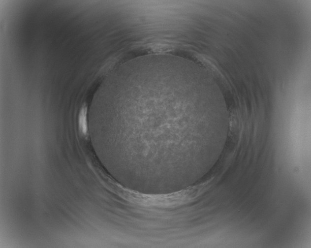 X0000071330046200607071643