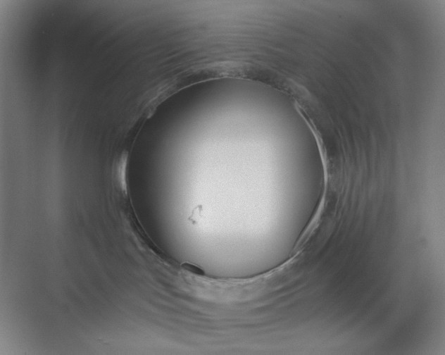 X0000071330047200607071643