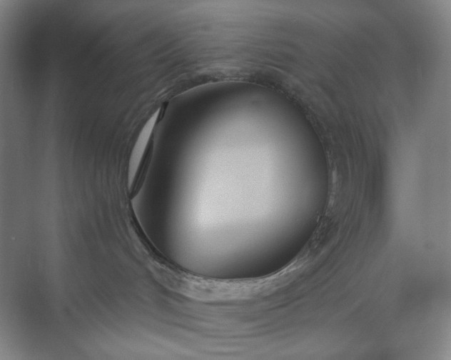 X0000071330048200607071643