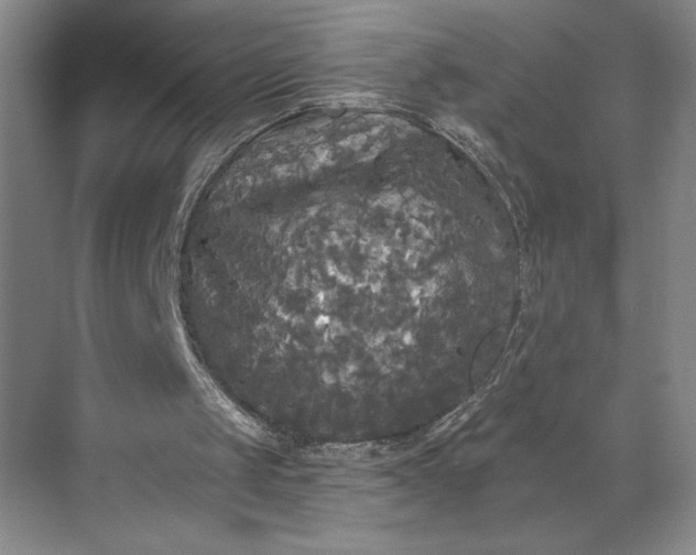 X0000071330049200607071643