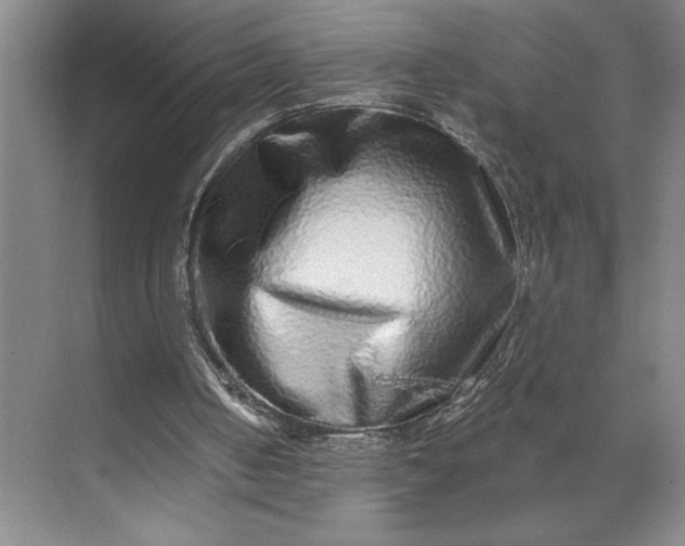 X0000071330050200607071643