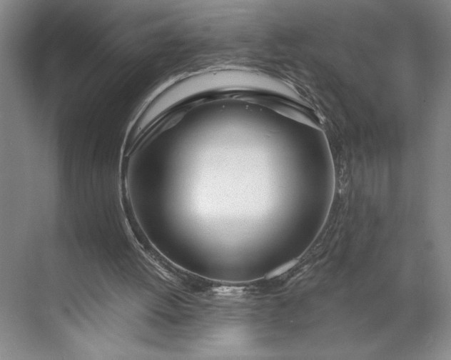 X0000071330052200607071643