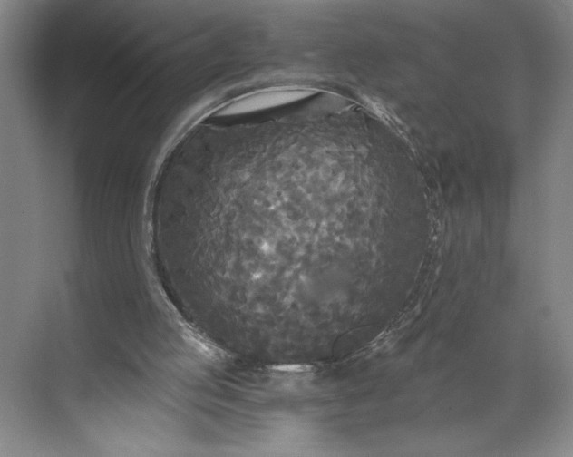 X0000071330053200607071643