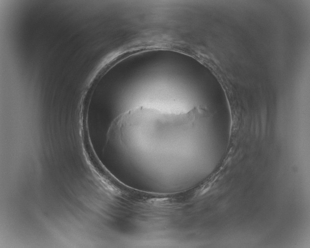 X0000071330054200607071643