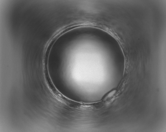 X0000071330055200607071643