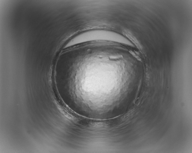 X0000071330058200607071643