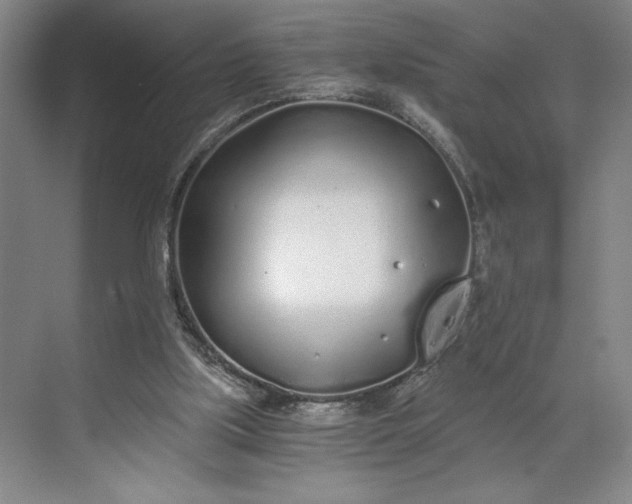 X0000071330059200607071643