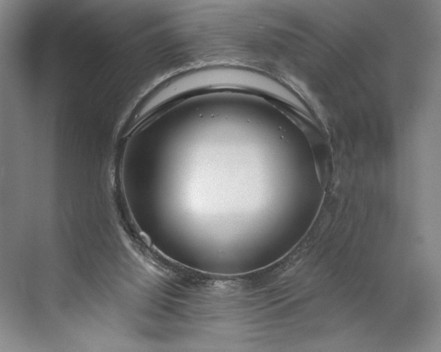 X0000071330060200607071643