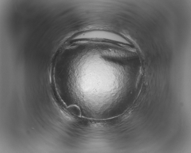 X0000071330062200607071643