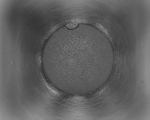 X0000071330063200607071643