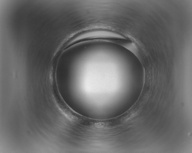 X0000071330064200607071643