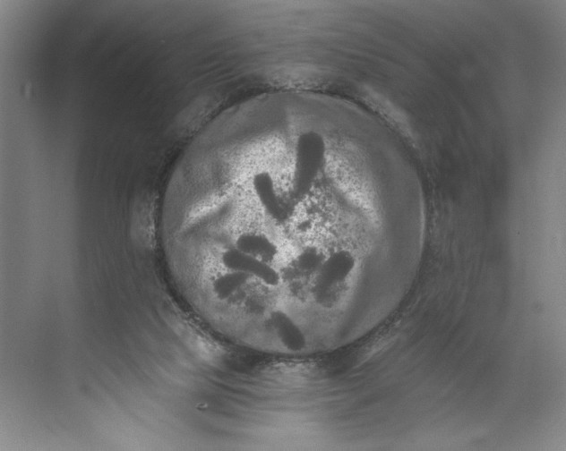 X0000071330065200607071643