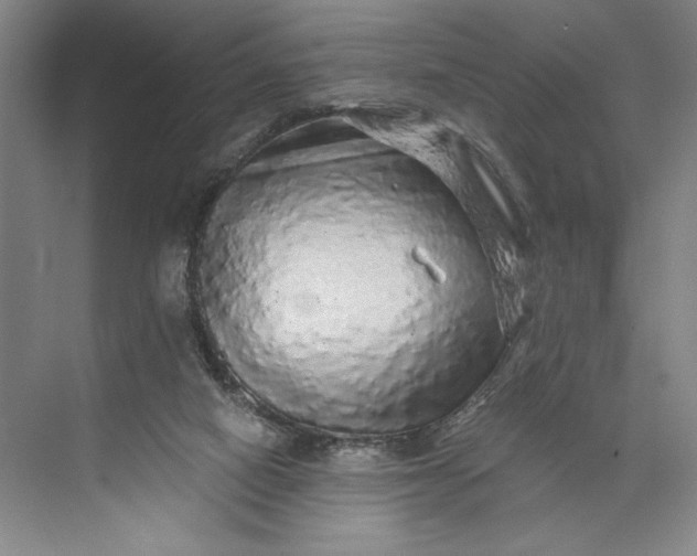 X0000071330066200607071643