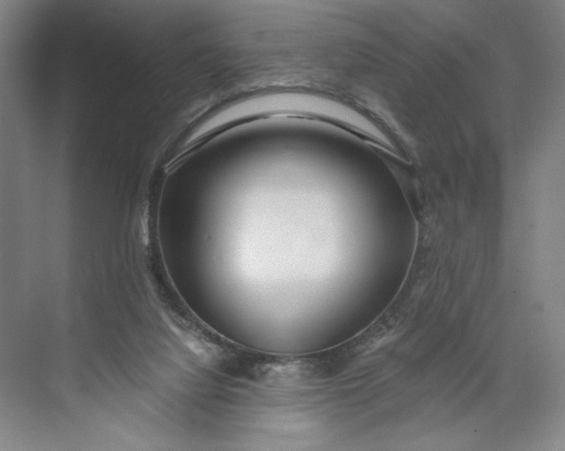 X0000071330068200607071643