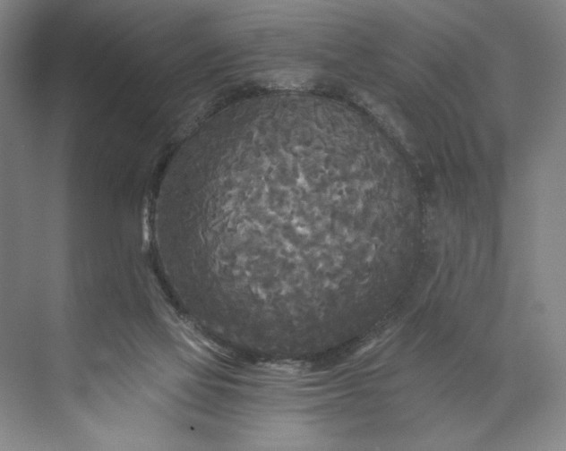 X0000071330069200607071643