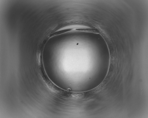 X0000071330070200607071643