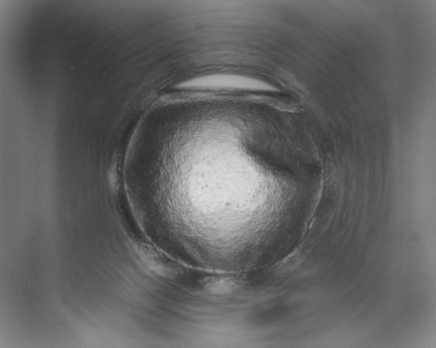 X0000071330074200607071643