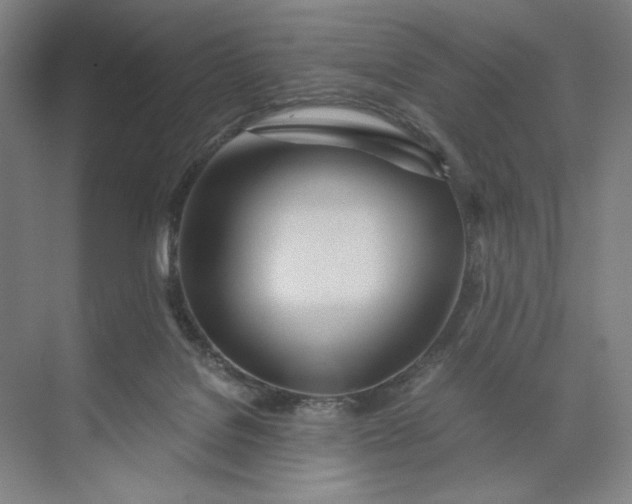 X0000071330076200607071643