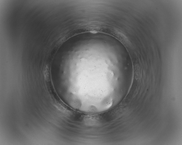 X0000071330077200607071643