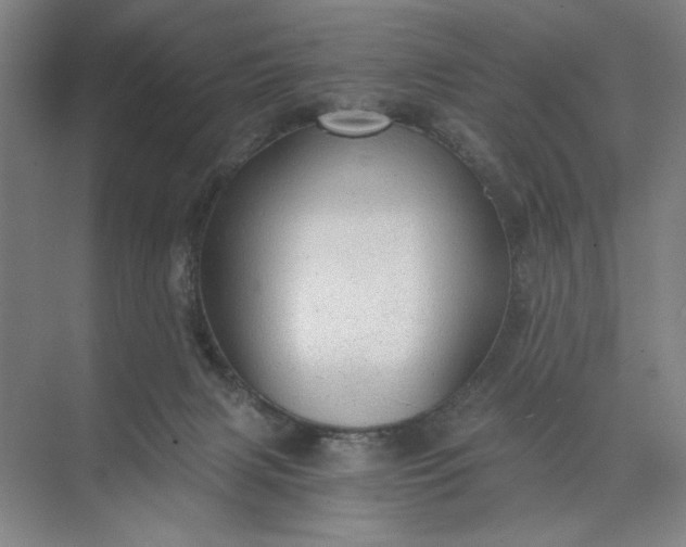 X0000071330079200607071643