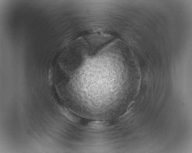 X0000071330082200607071643