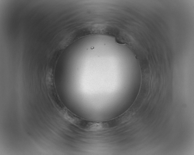 X0000071330083200607071643