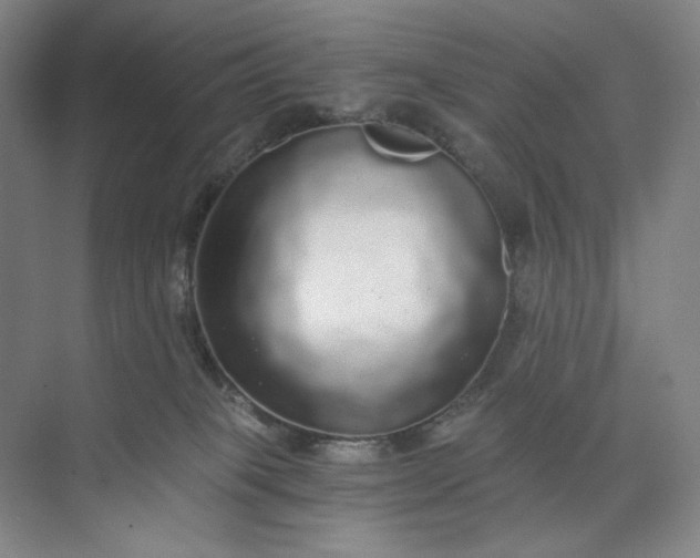 X0000071330085200607071643