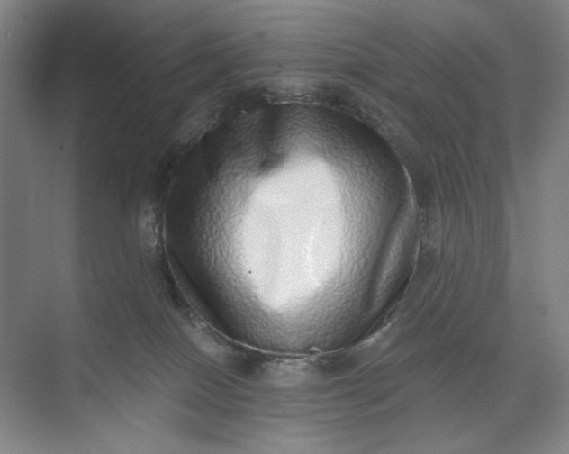 X0000071330086200607071643