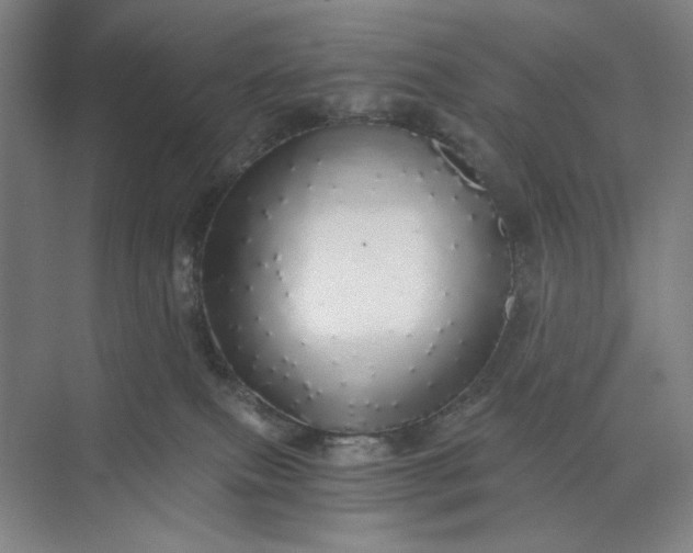 X0000071330087200607071643