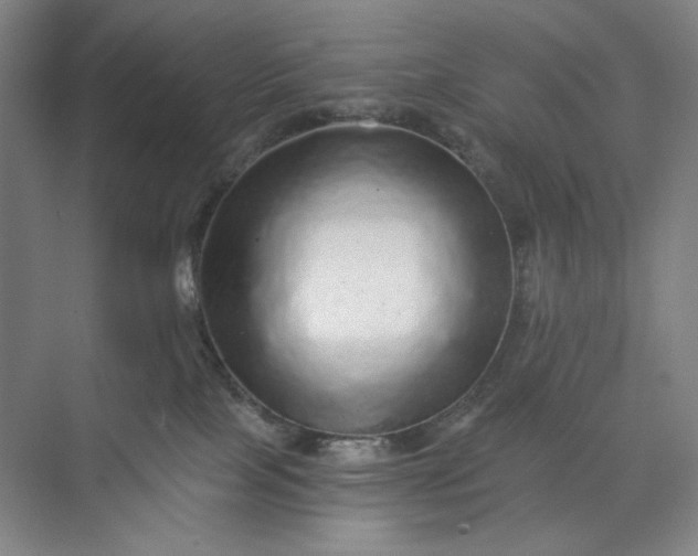 X0000071330089200607071643