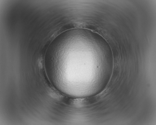 X0000071330090200607071643