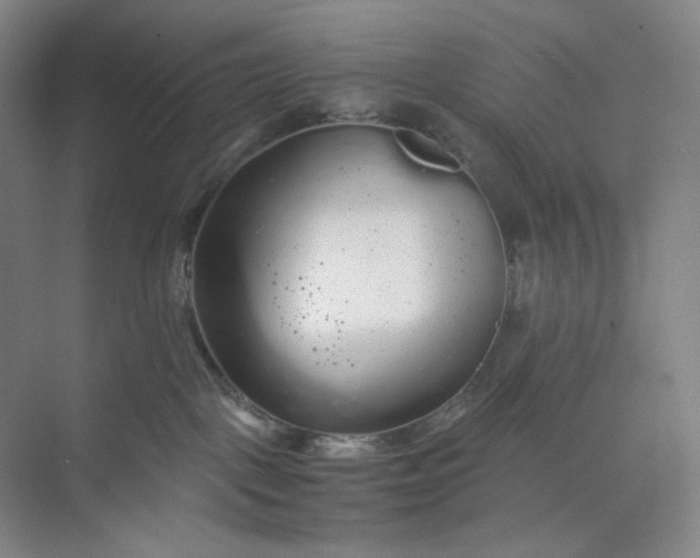 X0000071330093200607071643