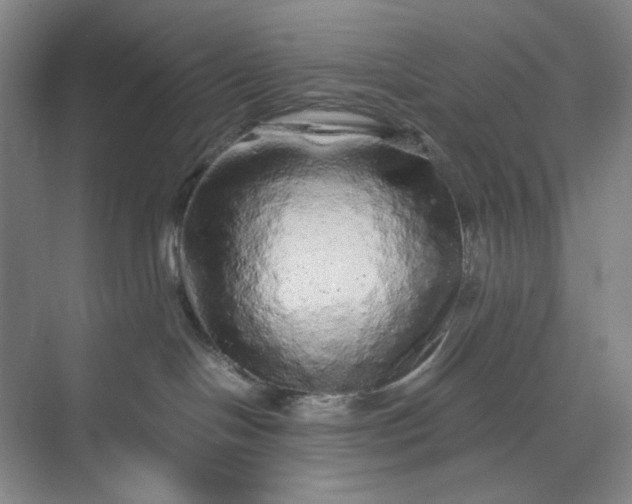 X0000071330094200607071643