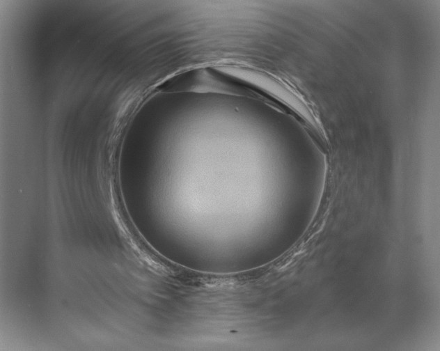 X0000071330097200607071643