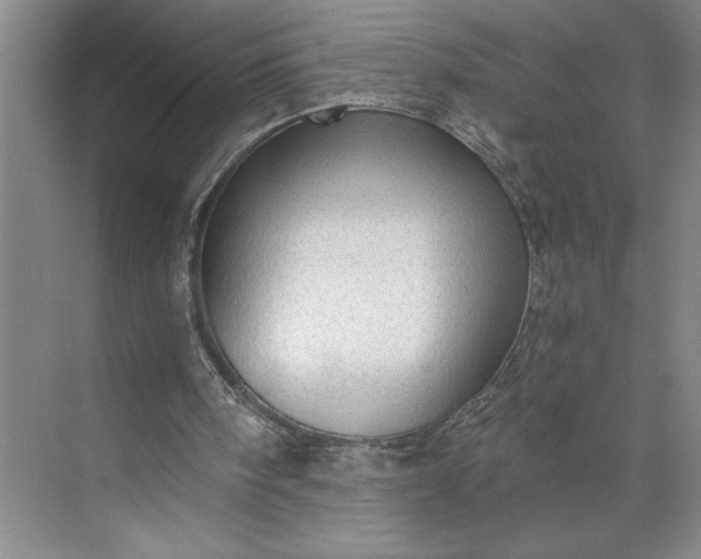 X0000071330098200607071643