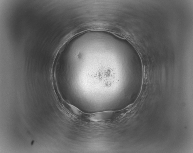 X0000071330099200607071643