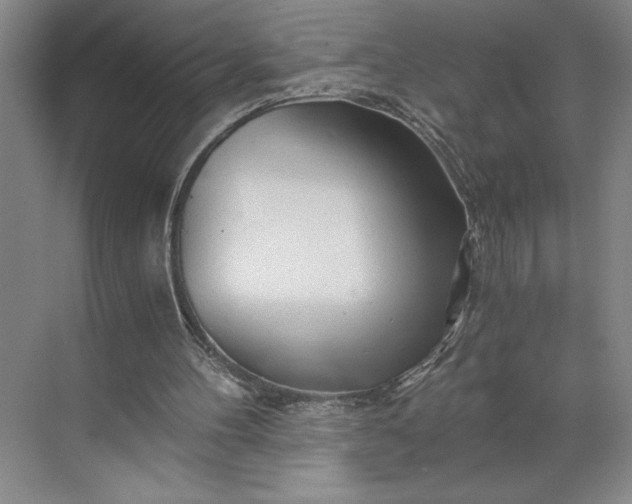 X0000071330100200607071643