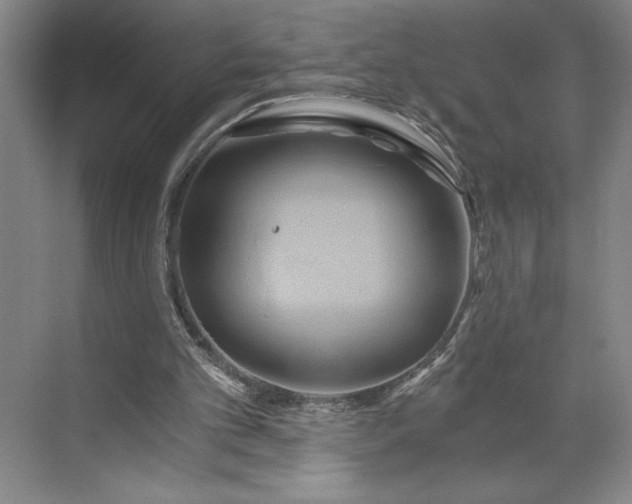 X0000071330101200607071643