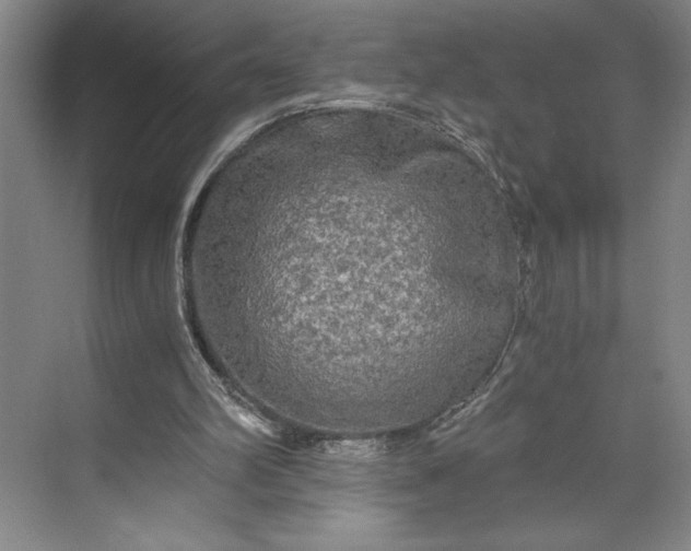 X0000071330102200607071642