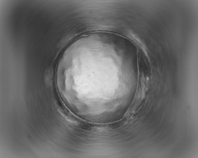 X0000071330107200607071642