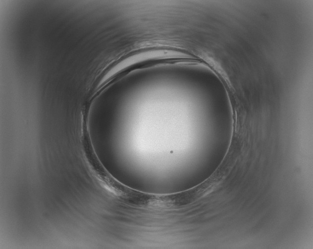 X0000071330109200607071642