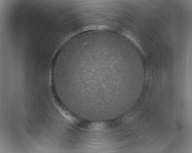 X0000071330110200607071642