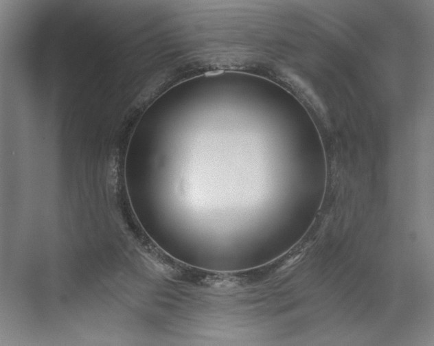 X0000071330113200607071642