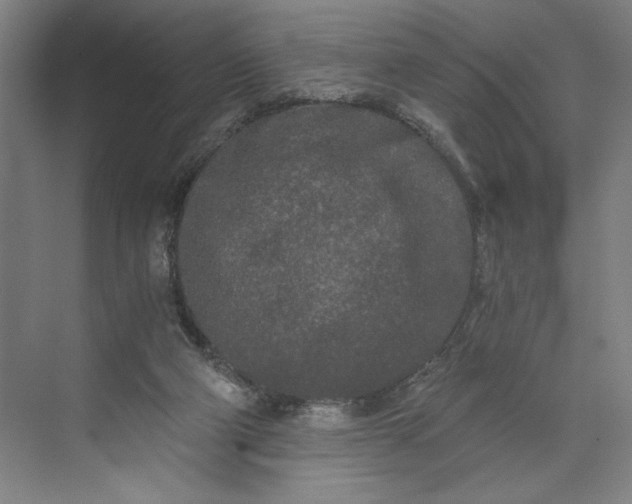 X0000071330114200607071642