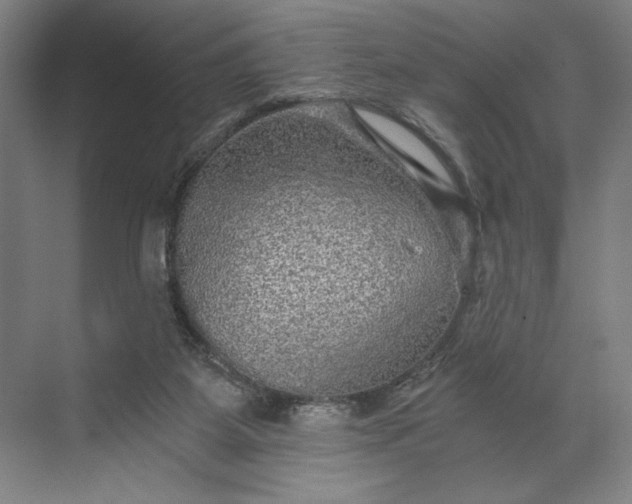 X0000071330115200607071642